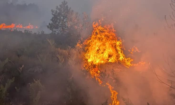 Përmirësohet situata, katër vatra aktive të zjarrit në Shqipëri