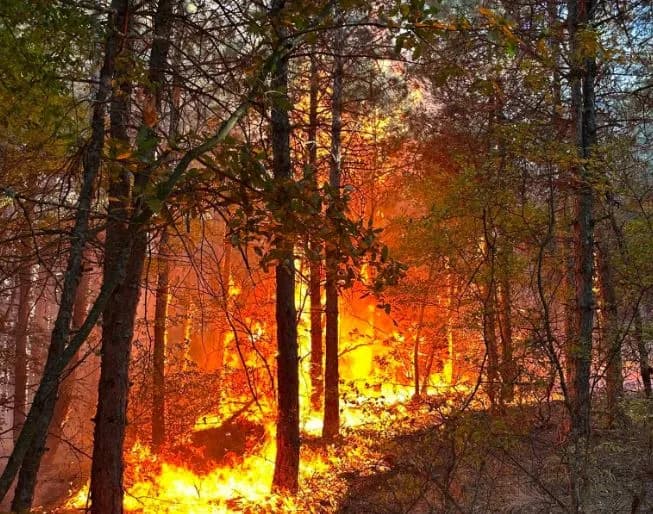 Zjarr i madh në Breznicë të Bujanocit, rreth 700 banorë evakuohen