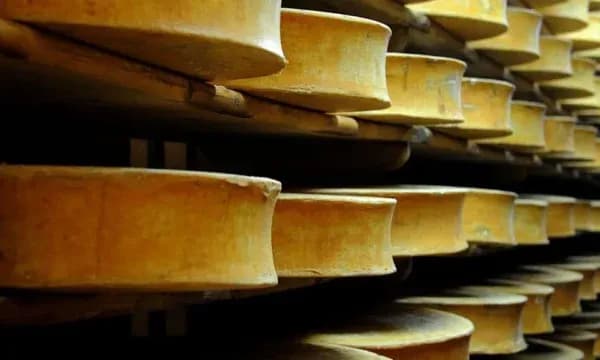 Franca lehtëson rregullat e rrepta të prodhimit të djathit pas thatësirës së zgjatur