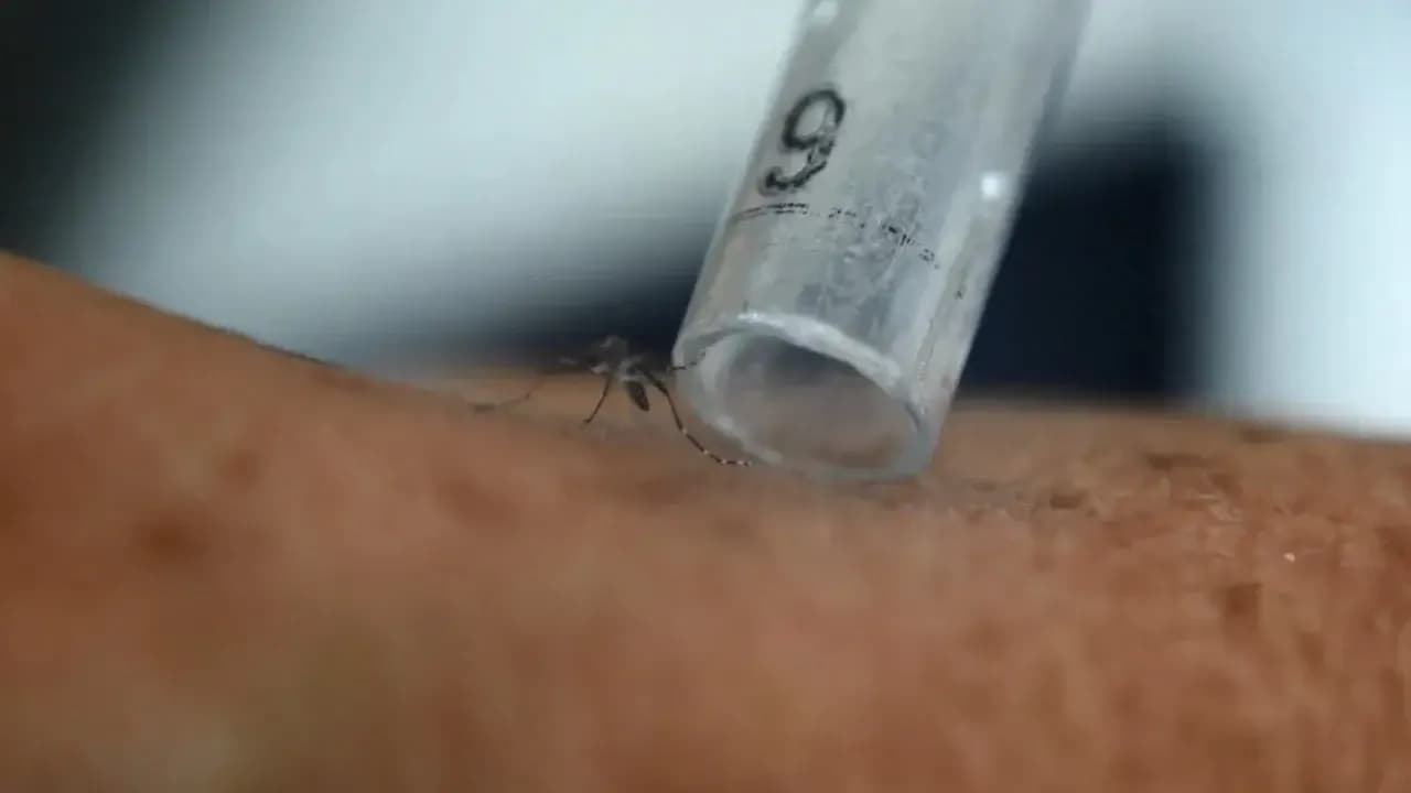 Kjo është gjendja e të moshuarit që u konfirmua me Ethet e Nilit në Shqipëri