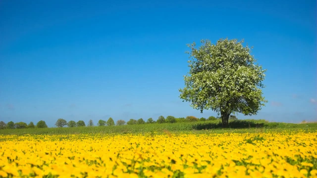 Temperaturat deri në 34°C, ky është parashikimi i motit