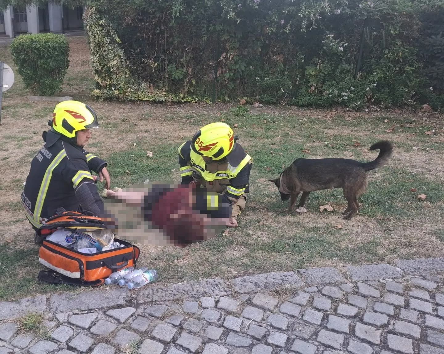 Zjarri përfshiu një sallon për kafshë shtëpiake në Zagreb, zjarrfikësit shpëtuan vajzën dhe qenin e saj