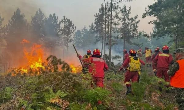 Kosova ofron ndihmë për Shqipërinë dhe Malin e Zi për zjarret