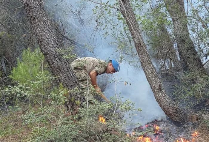 Zjarri në Milot drejt shuarjes, ndërhyrje nga ajri dhe toka