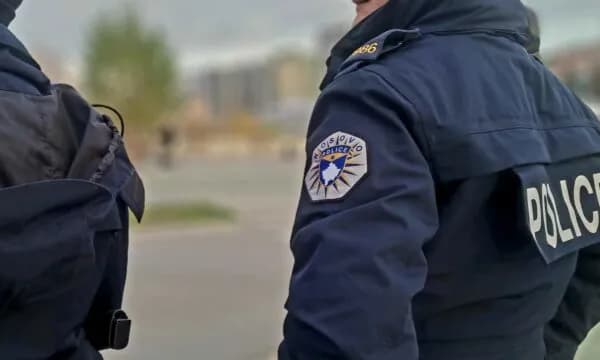 Kapen tri gjedhe pa dokumente në një kombi, dyshohet se u kontrabanduan nga Serbia