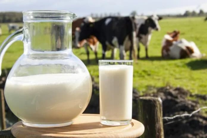 Kusari-Lila: Nisin kontrollet për qumështin dhe produktet e qumështit, shkelësit do të ndëshkohen