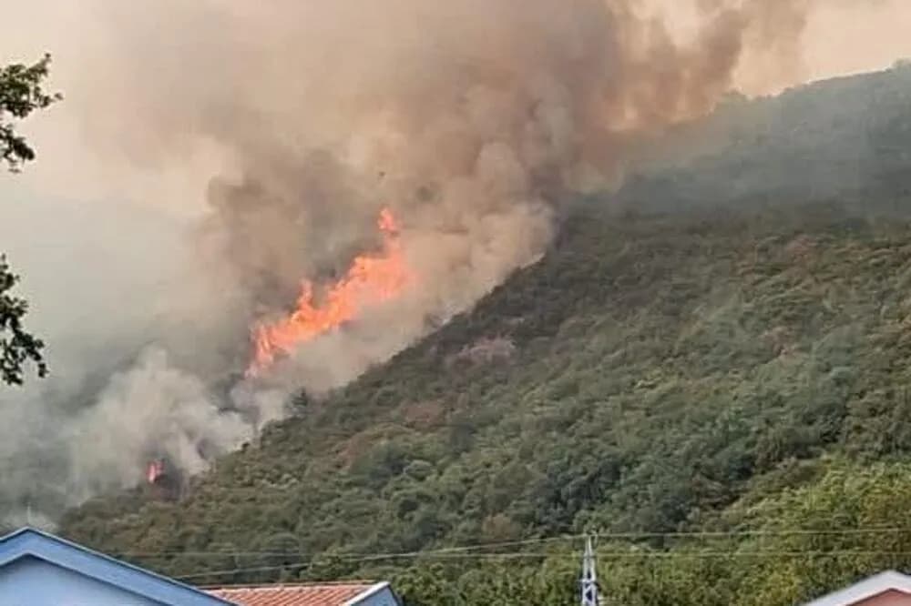 Zjarre masive në Ulqin dhe Herceg Novi