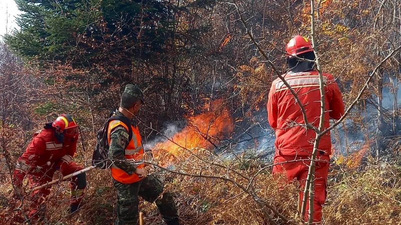 Për 24 orë: 35 vatra zjarri në Shqipëri, pesë mbeten ende aktive