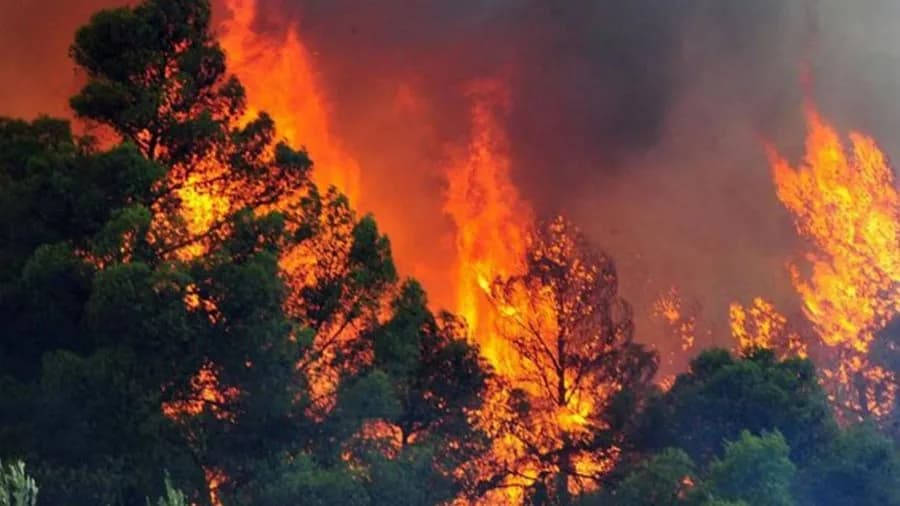 13 vatra zjarri aktive në Shqipëri