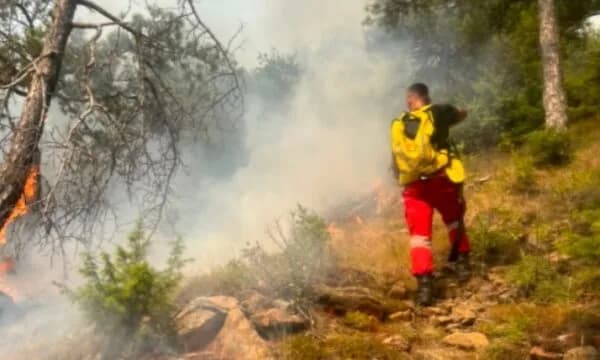 Shqipëri, Ministria e Mbrojtjes: 20 vatra zjarri në vend, 11 mbeten aktive