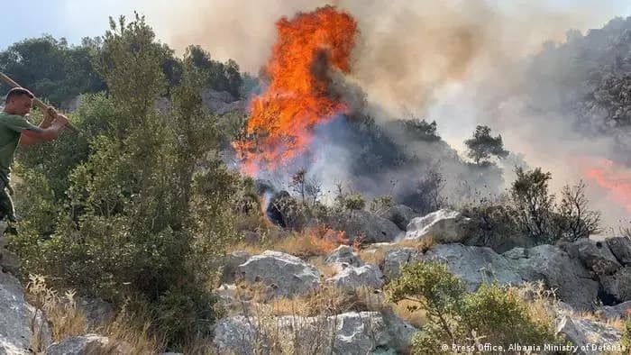 Vatra zjarresh në Lezhë e Fier, digjen 10 shtëpi e 200 hektarë pyje, në terren forca zjarrfikëse