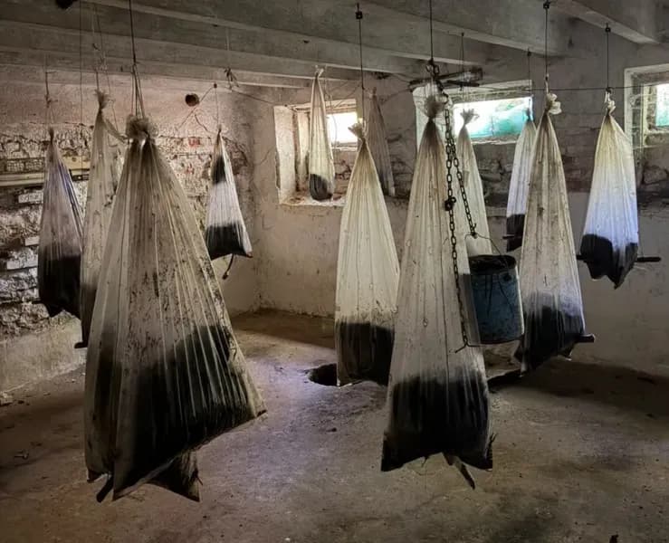 Hapet “bodrumi i horrorit” në Obiliq, dyshohet për vendkultivim narkotikësh