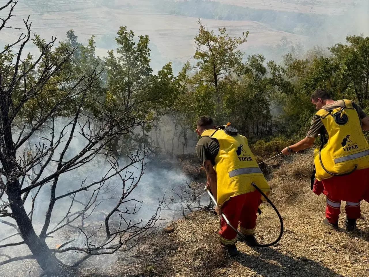 Shoqërohet në polici një çoban, dyshohet për zjarrvënie në Himarë