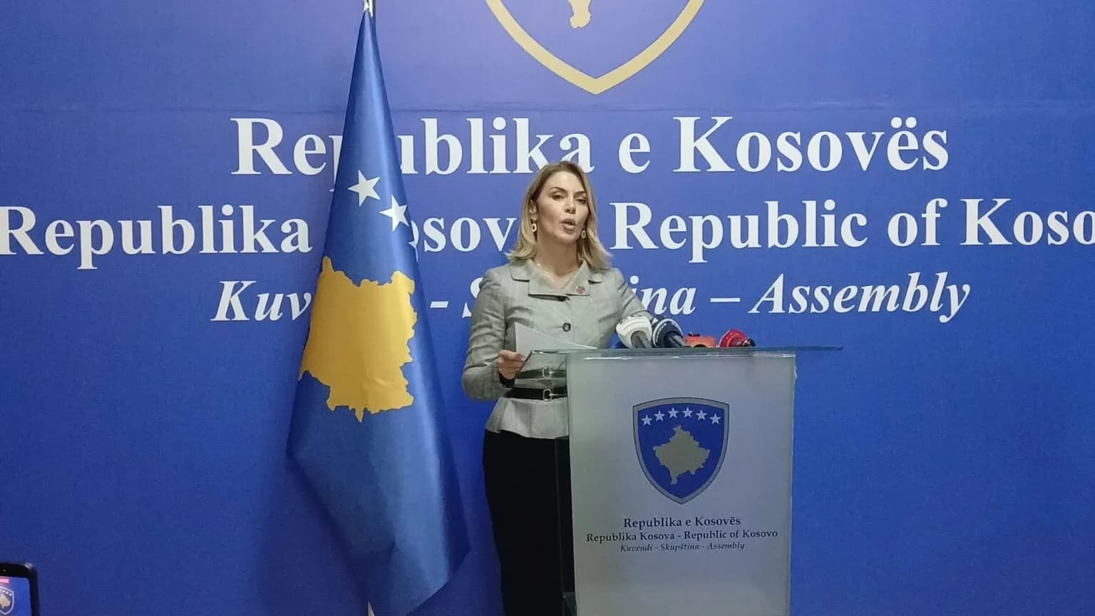 PDK-ja lëshoi mbledhjet e komisioneve, Deliu-Kodra: Ligji për Specialen duhet të jetë prioritet mbi prioritetet