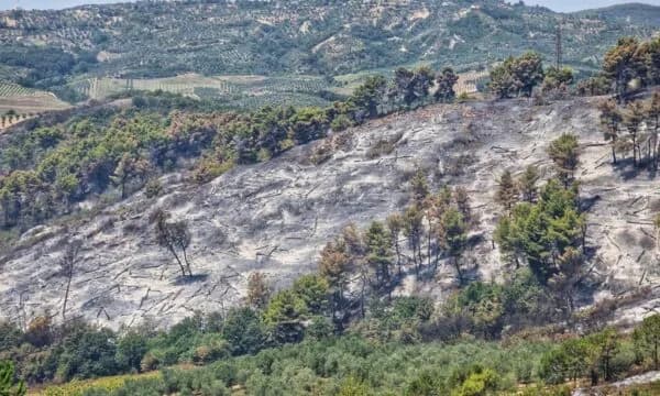 Më në fund fiken zjarret në Shqipëri, 10 vatra në 24 orë, por asnjë aktive