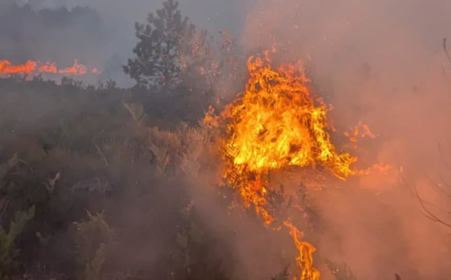 Përfshihen nga flakët kodrat në Shkodër, rrezikohen banesat