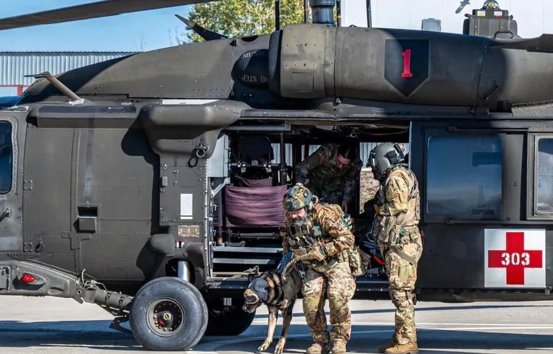 KFOR-i zhvillon stërvitje për evakuimin e qenve të lënduar me helikopter në Kosovë
