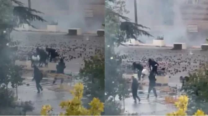 Përshkallëzohet protesta në Tiranë, marrin flakë pemët te Kryeministria, dëmtohet edhe Kryesia e Kuvendit