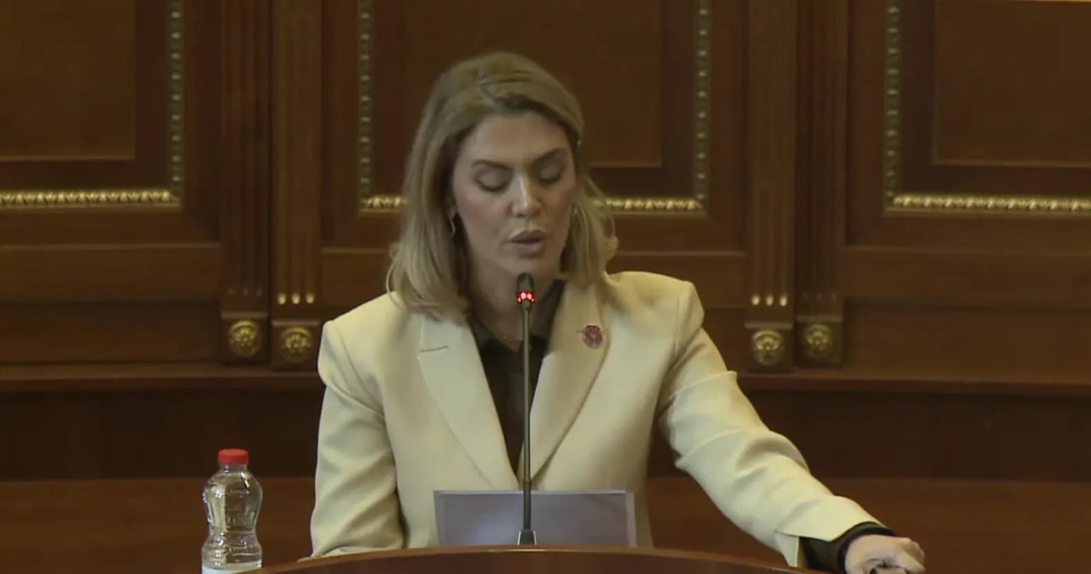 Deliu-Kodra: PDK kërkon një mekanizëm profesional për monitorimin e procedurës në Gjykatën Speciale