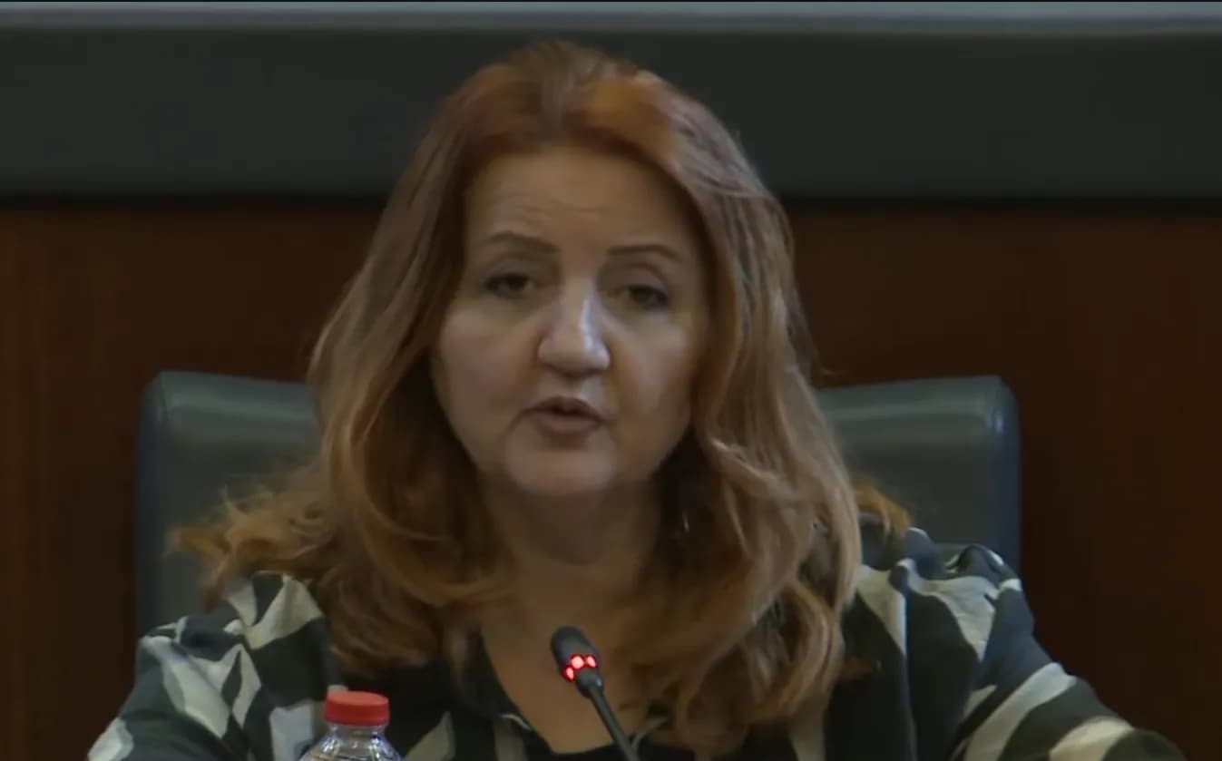Mulhaxha Kollçaku: Subvencionimi i faturave të rrymës mund të shkojë deri në 50 euro në muaj