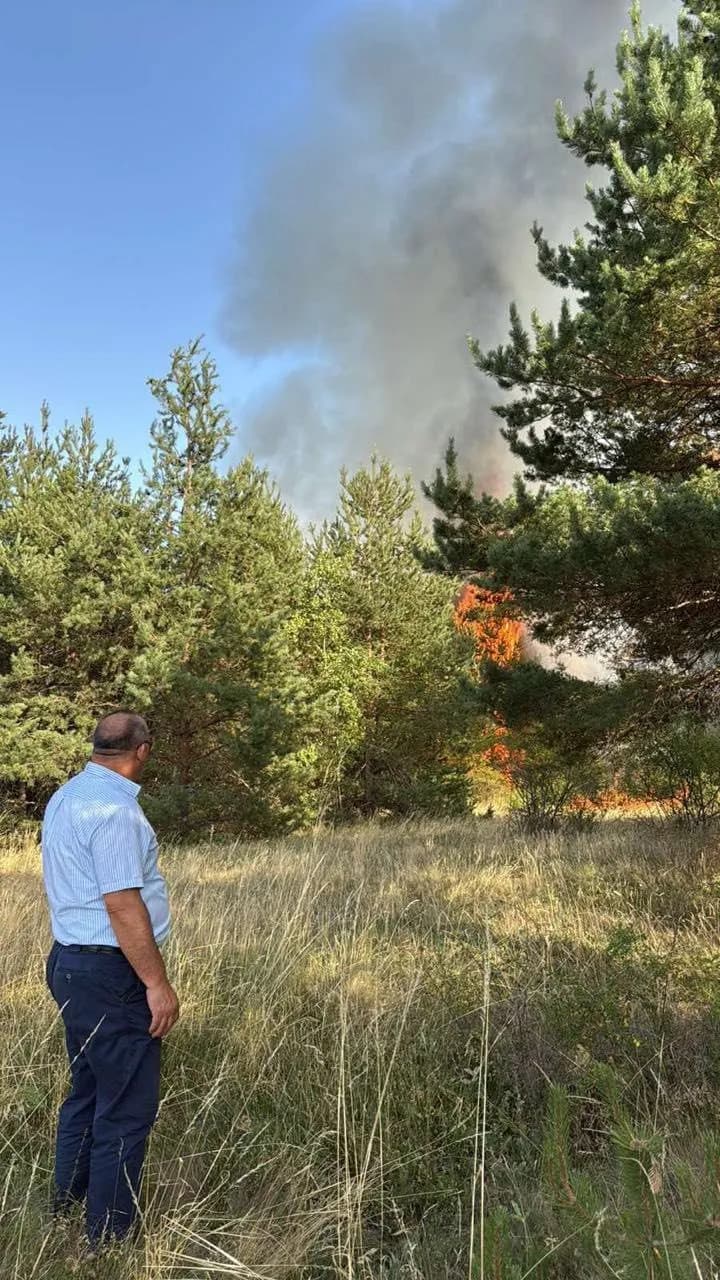Arrestohen dy vushtrrias, e ngacmuan një vajzë