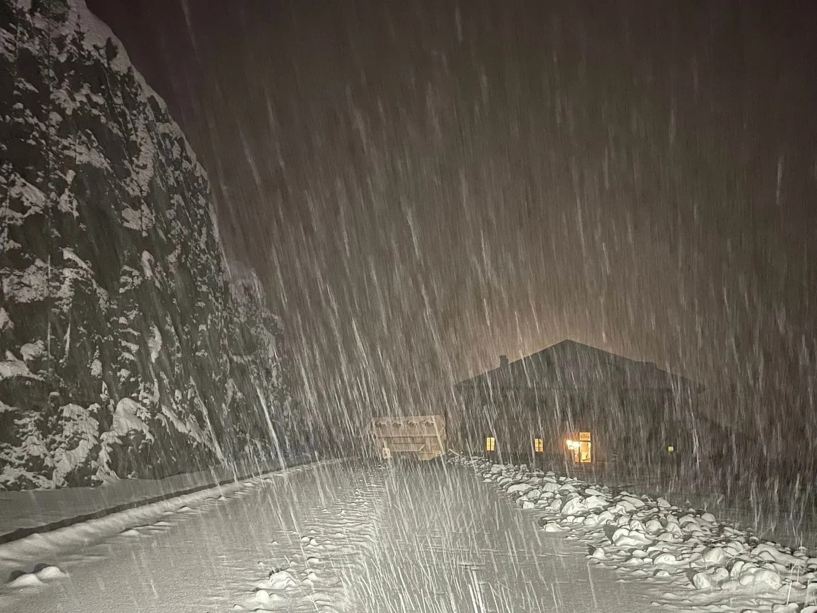 Bora mbulon alpet zvicerane