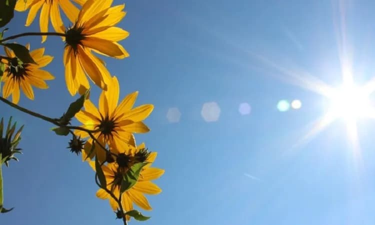 Sot me diell, temperaturat arrijnë në 33°C