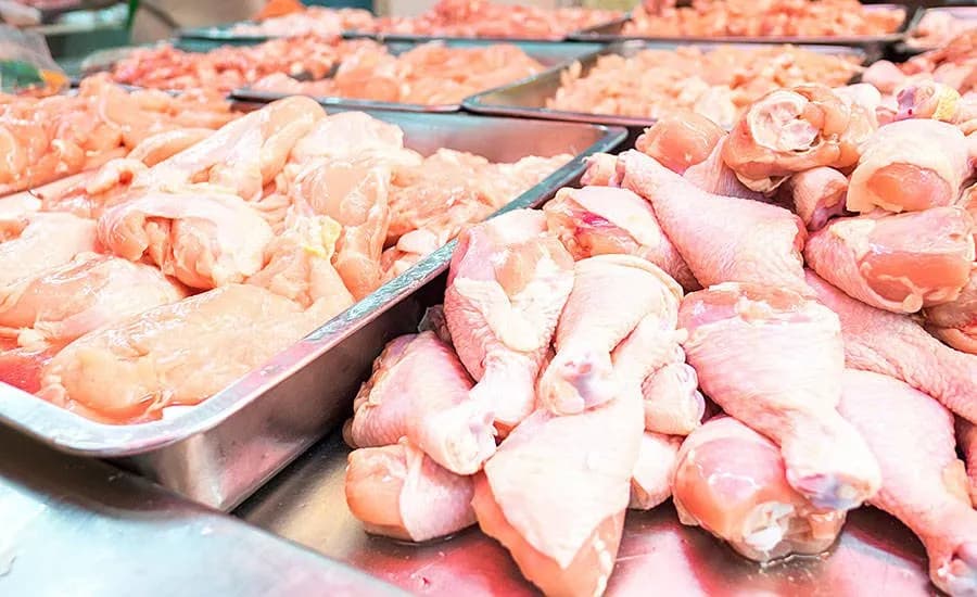 Asgjësohen mbi 19 mijë kilogramë mish pule