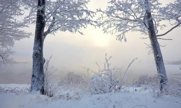 Ngrica dhe acar: Moti nesër dhe ditëve në vazhdim