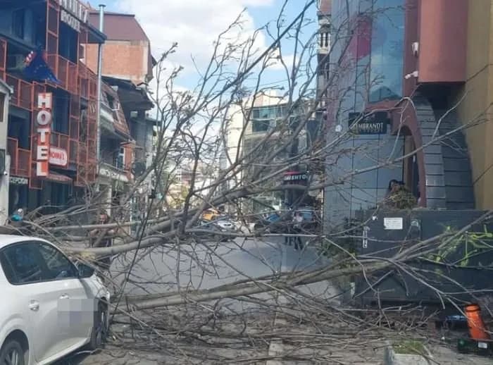 Lisi bie mbi dy vetura në lagjen “4 Llullat”