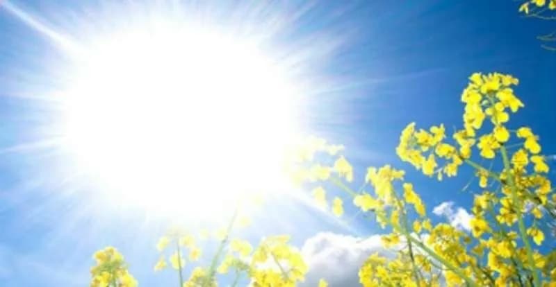 Temperaturat sot shkojnë deri në 33°C