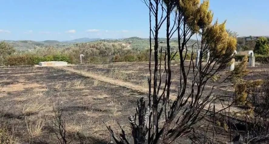 Shuhet vatra e zjarrit në Peshtan të Fierit