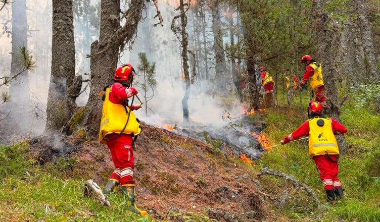 Situata me zjarret në Shqipëri, Nufi: 252 efektivë të FA në terren