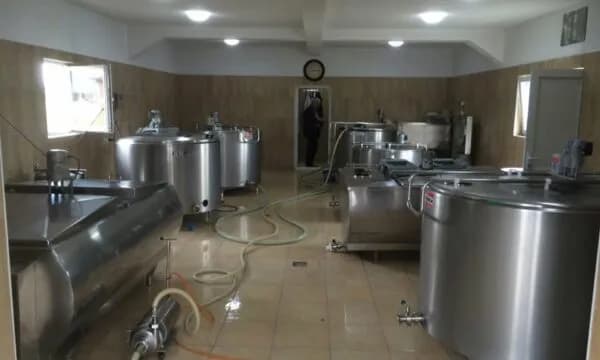 Fermerët Kosovarë të Qumështit: Pse po shënjestërohet VITA ku s’u gjet vaj palme? Kjo situatë ka dëmtuar mijëra familje