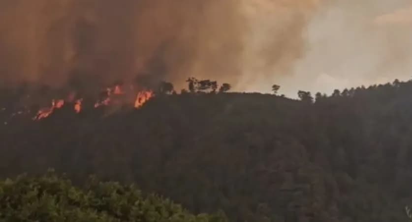 Shqipëria vazhdon betejën me flakët, 14 vatra të zjarrit ende aktive