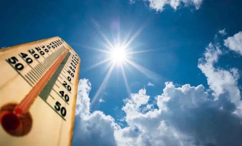 Parashikimi i motit për të dielën, 23.08.2026