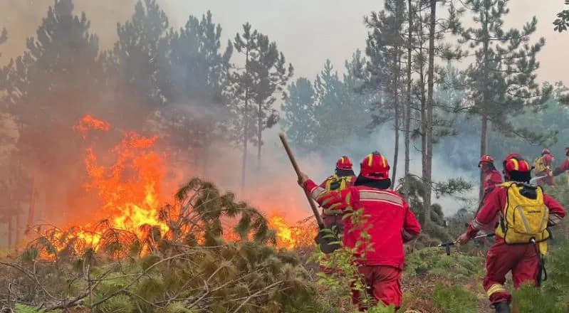 Zjarret në Shqipëri, Mbrojtja: Situata nën kontroll, vijon ndërhyrja në vatrat aktive