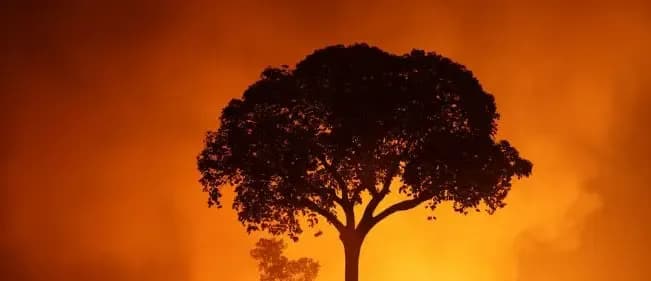 Ngrohja globale po përshpejtohet, thotë shkencëtari kryesor i klimës