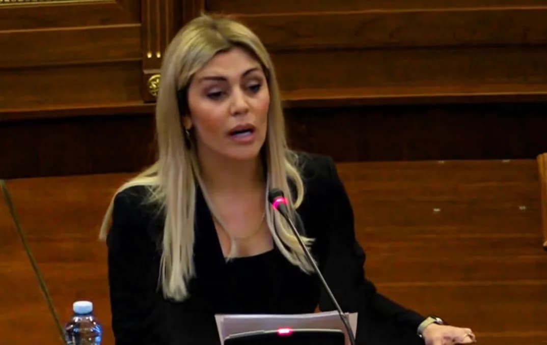 Deliu: Aktgjykimi i Hagës na lëndoi, por na mobilizoi më shumë se kurrë