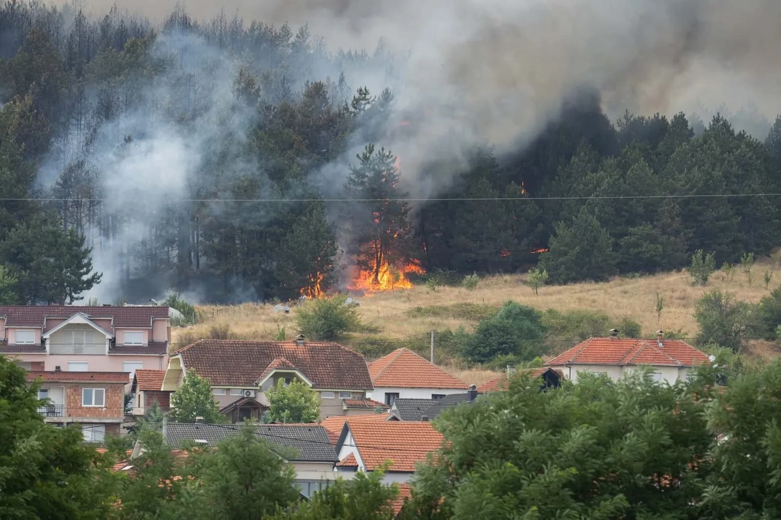 Ky është serbi që u arratis nga Qendra e paraburgimit në Mitrovicë të Veriut, akuzohet për vrasje dhe vepra tjera