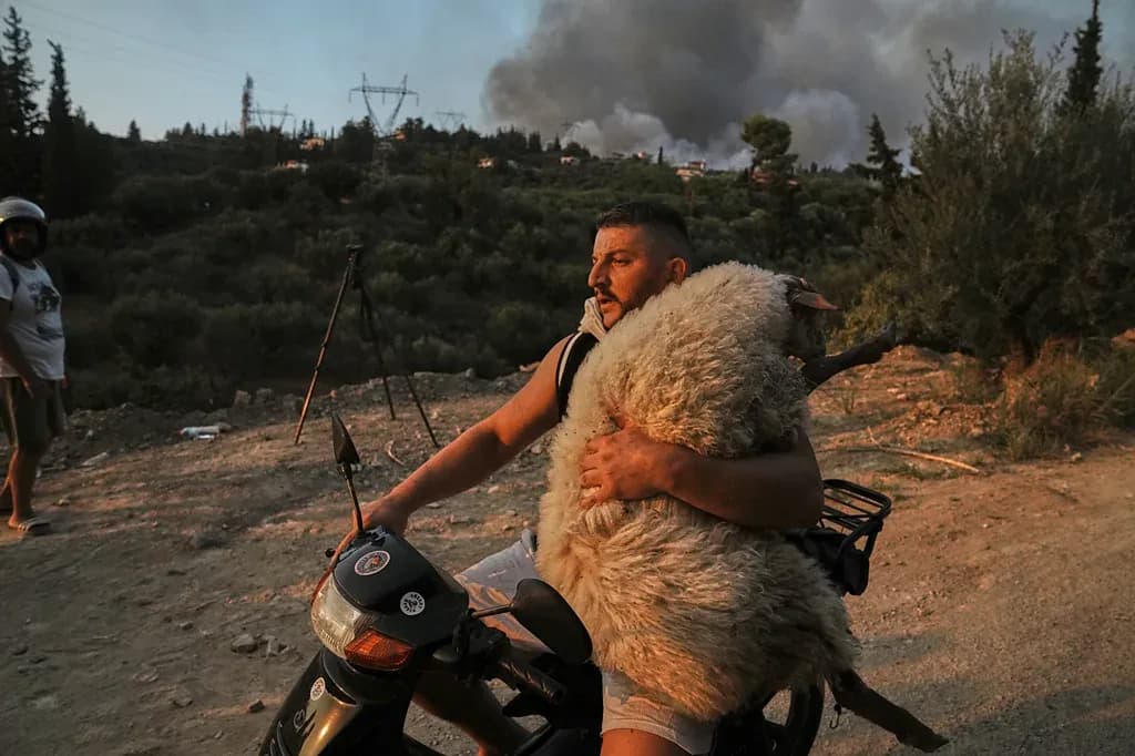 BBC: Një shqiptar në mesin e 12 fotografive më ikonike të vitit të vitit 2025