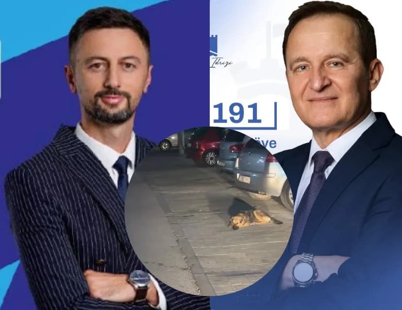Idrizi thotë se e zgjidhi problemin me qentë endacak, Shkëlzen Xhaferi e demanton me video: Qe qeni në mes të qytetit