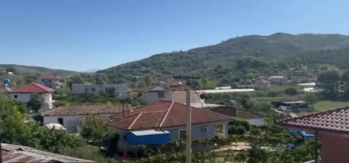 Një fermeri në Lushnjë iu hëngri ujku 40 krerë dele dhe dhi