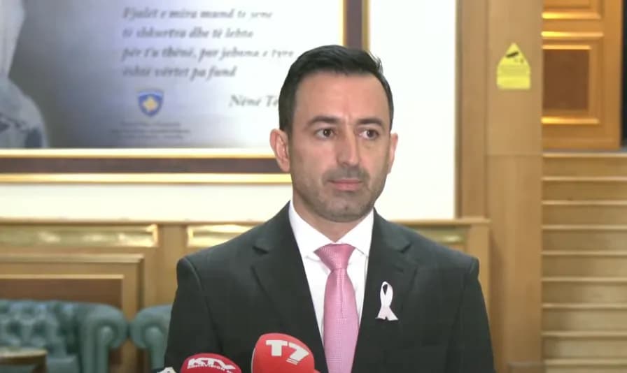 Basha: I kemi dy javë afat për kandidatin e parë për kryeministër
