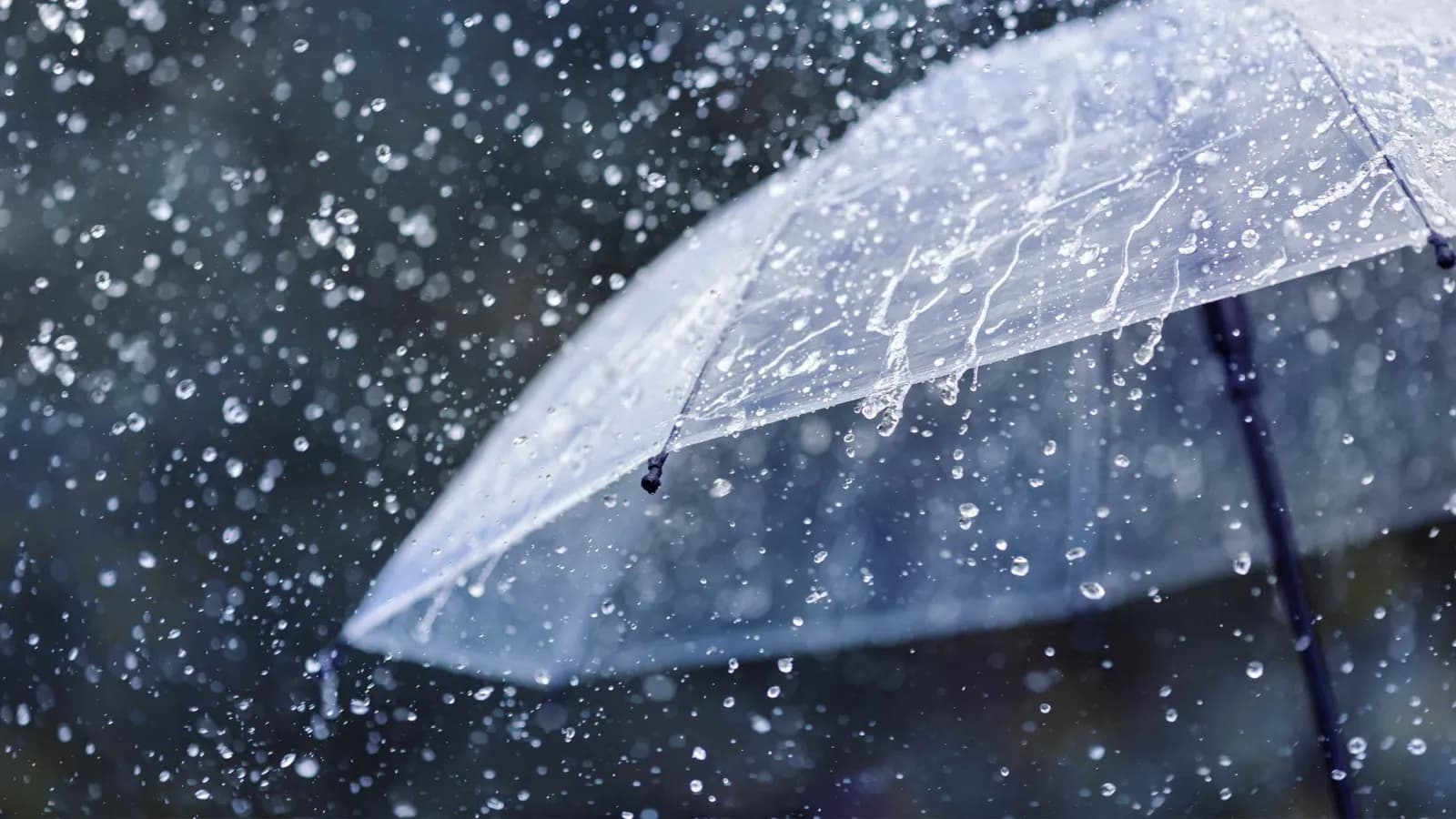 Moti sot: I vranët dhe me shi, temperatura deri në 13 gradë Celsius