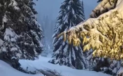 Reshjet e borës bllokojnë një person dhe bagëtitë e tij në bjeshkët e Istogut, Policia niset në vendngjarje