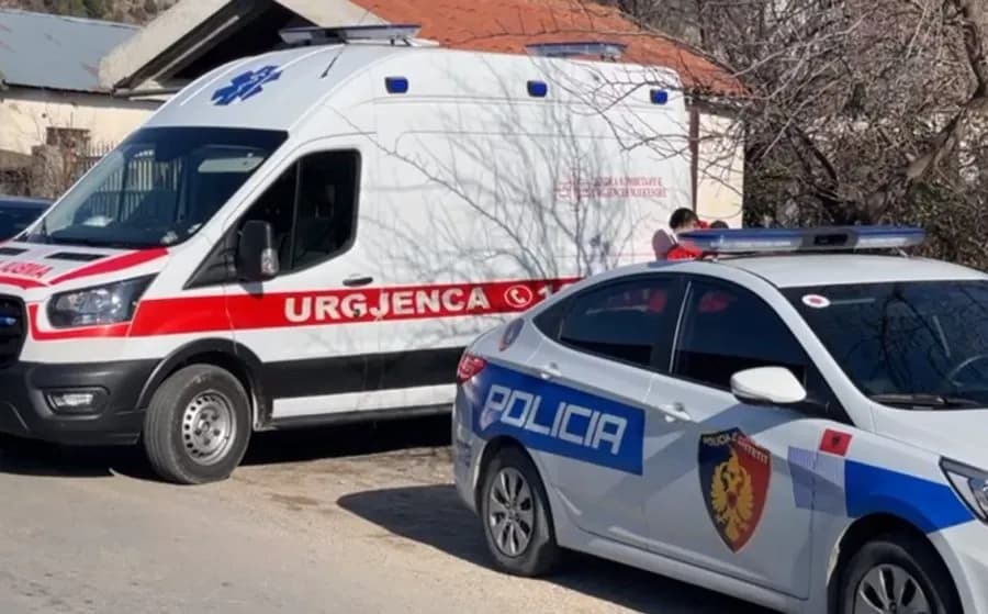 E trishtë në Berat: Teksa po mblidhte ullinj, 43-vjeçari bie nga pema dhe vdes