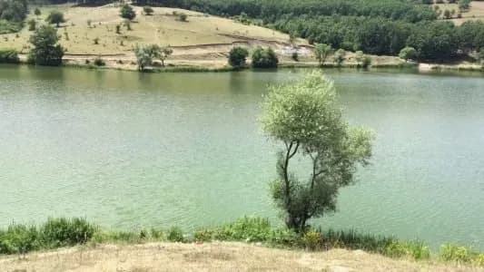Policia e konfirmon: Zhytësit e FSK-së gjejnë trupin e personit të zhdukur në Livoq