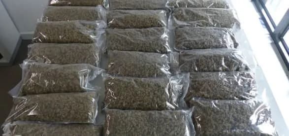 Sekuestrohet drogë me vlerë 600 mijë euro në Hanover, arrestohen një kosovar dhe një turk
