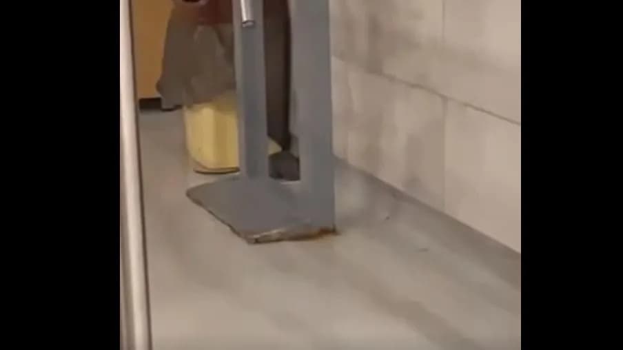 VIDEO/ Miu shihet brenda ambienteve në Mensën e Studentëve